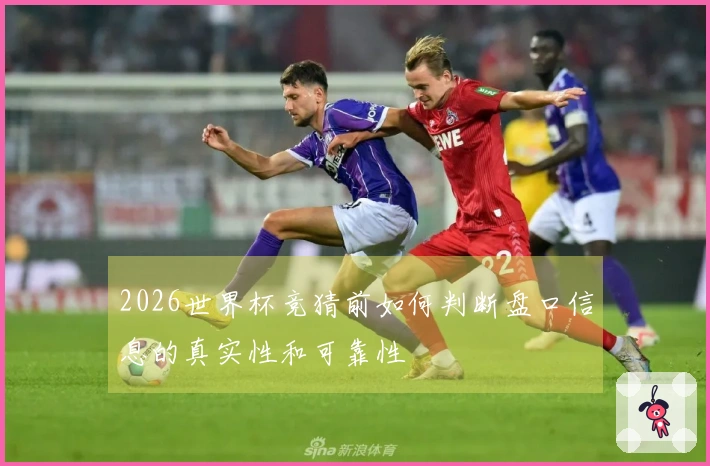 2026世界杯竞猜前如何判断盘口信息的真实性和可靠性