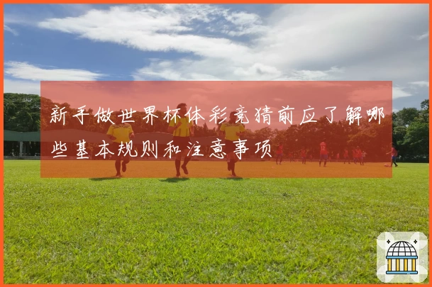 新手做世界杯体彩竞猜前应了解哪些基本规则和注意事项
