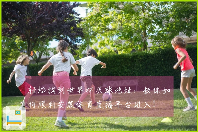 轻松找到世界杯买球地址，教你如何顺利安装体育直播平台进入！