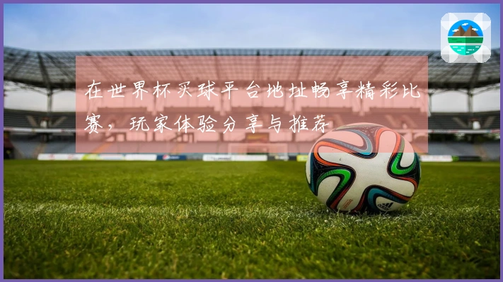 在世界杯买球平台地址畅享精彩比赛，玩家体验分享与推荐