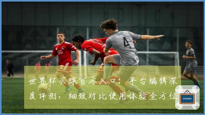 世界杯买球官方入口：平台编辑深度评测，细致对比使用体验全方位解读
