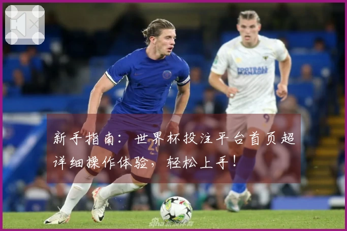 新手指南:世界杯投注平台首页超详细操作体验,轻松上手!