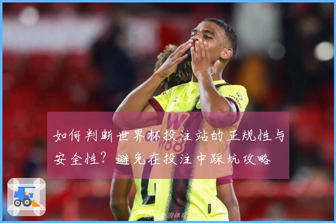 如何判断世界杯投注站的正规性与安全性？避免在投注中踩坑攻略